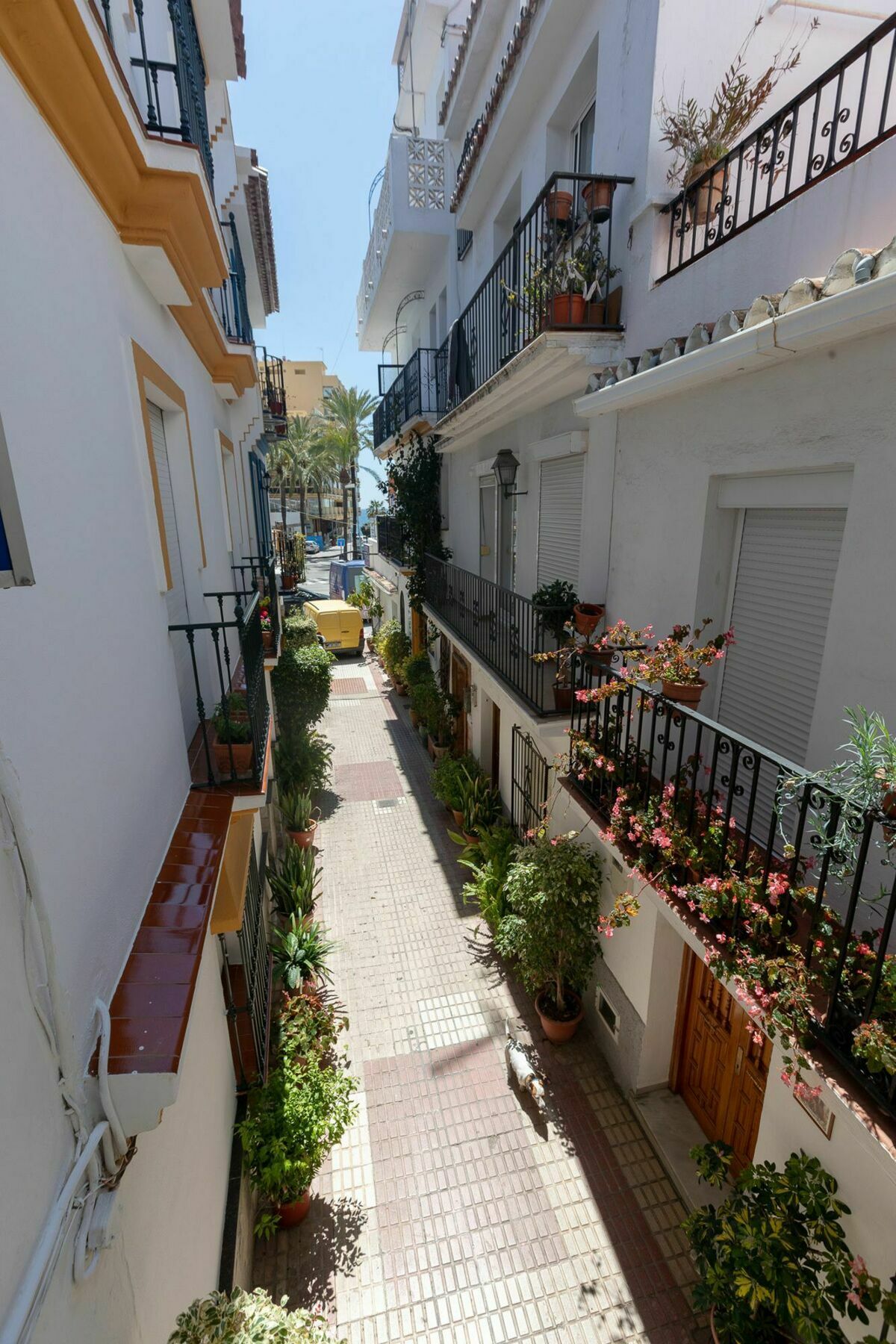 Hostal La Pilarica Marbella Bagian luar foto