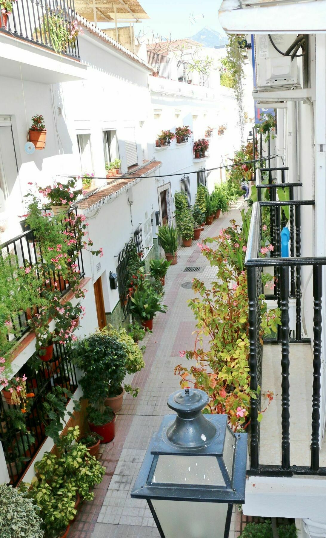 Hostal La Pilarica Marbella Bagian luar foto